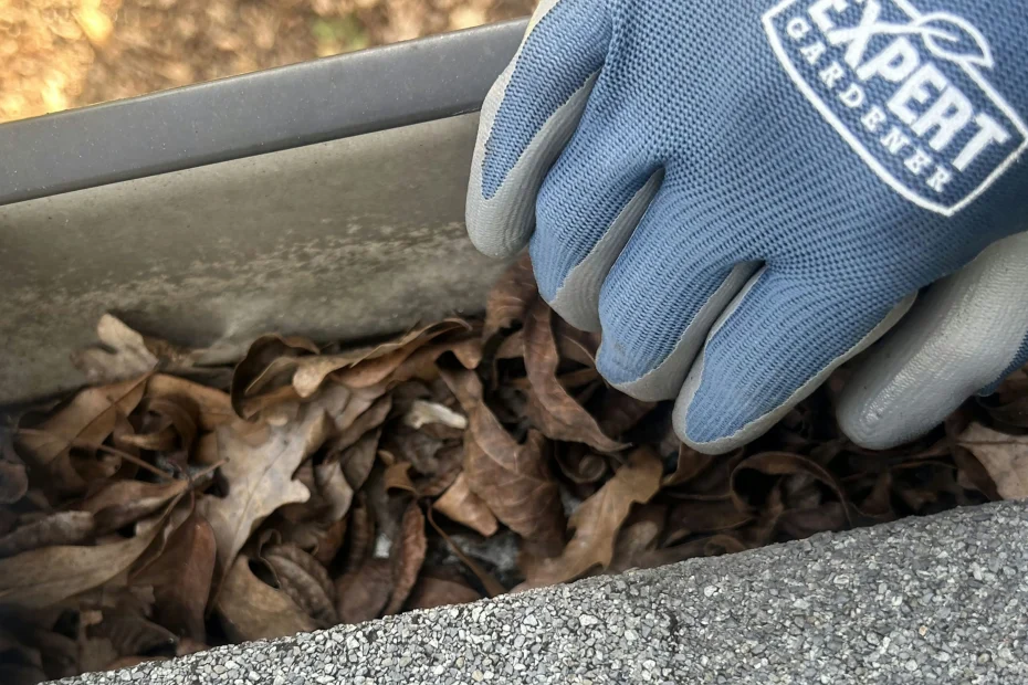 Gutter Cleaning Huntsville